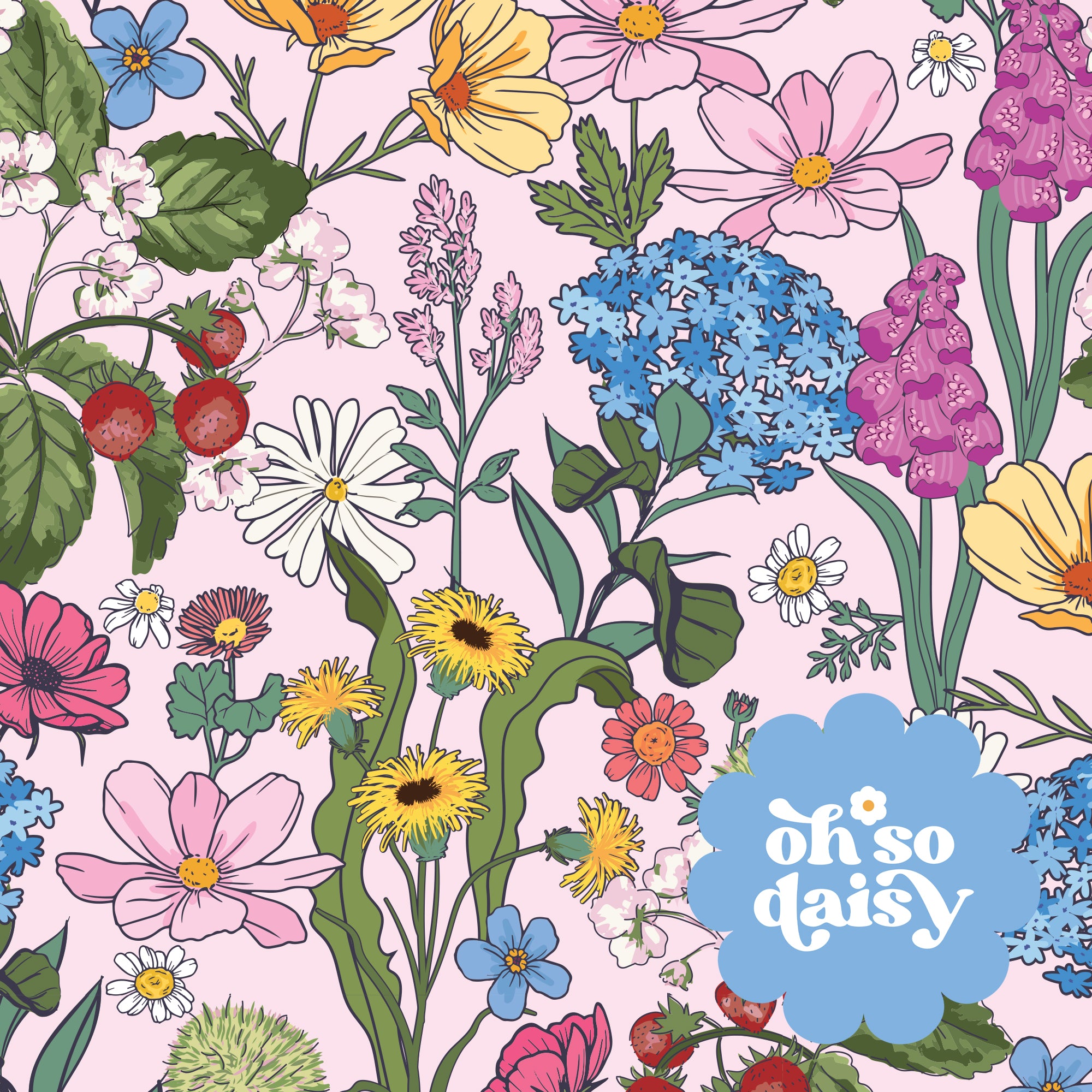 The Oh So Daisy x Get Kooky 2026 Collection