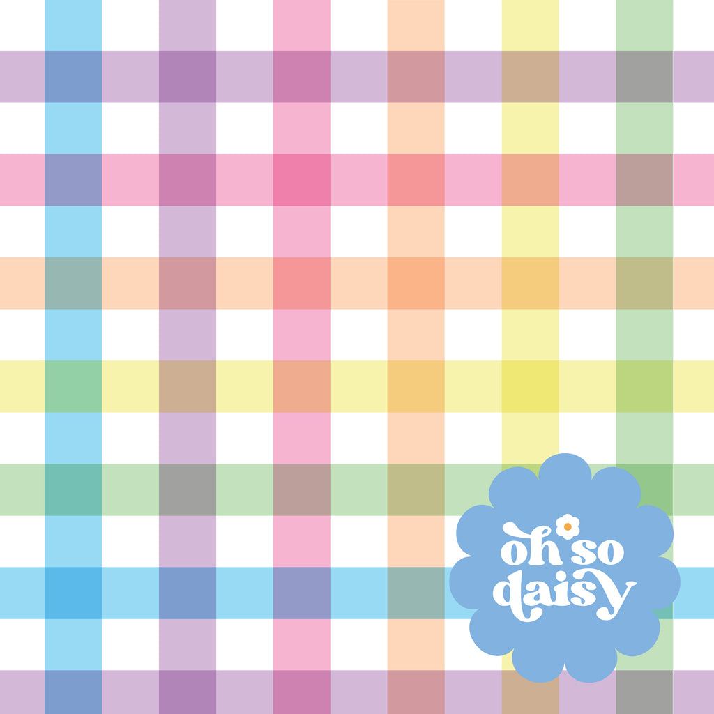 Rainbow Gingham